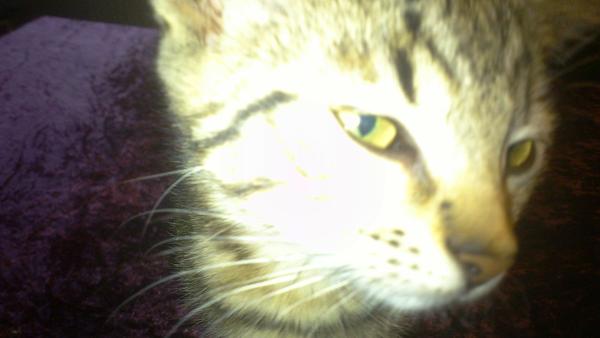 KONKURRENCE "HALLO ER DER NOGEN DER INDE????” 