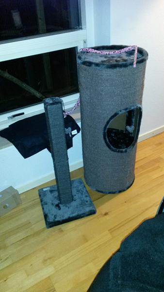 Nyt kradsemiljø; Putte vil kradse i det.. YAY! :D