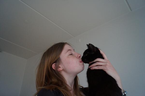 KONKURRENCE: Kyssende katte