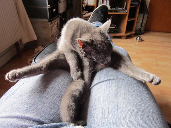 Konkurrence: "Storvask"