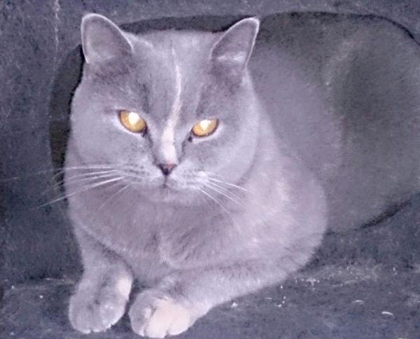 EFTERLYSNING Ry området.