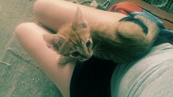 R.I.P lille killing:'(