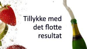 Tillykke til Heidi N og Tinka..