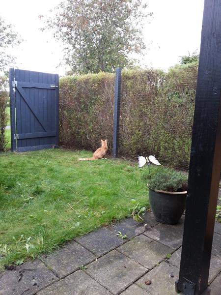 Projekt indhegning FÆRDIG!:-DD