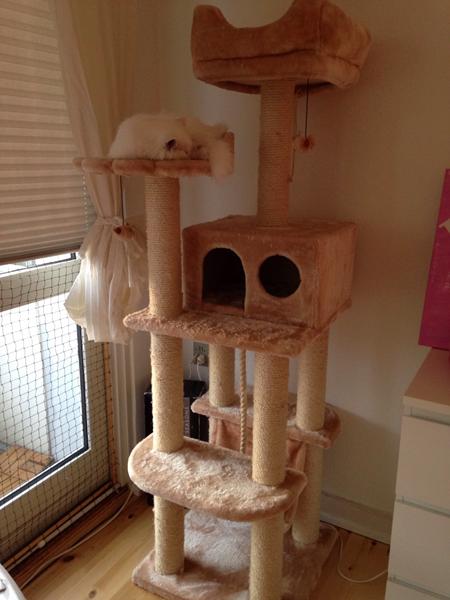 Tilbehør til kradsetræ