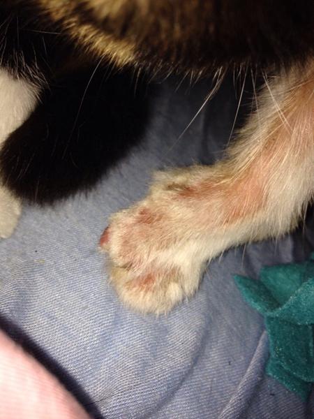 Efter en forbindingen