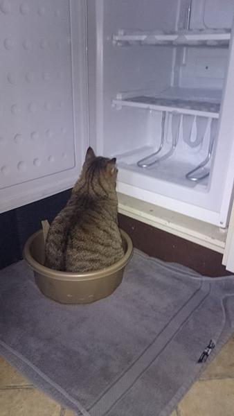 Altid dejligt med lidt hjælp :)