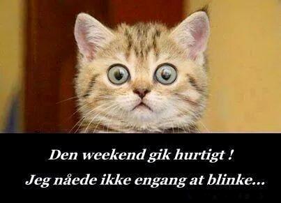 God Søndag til alle..