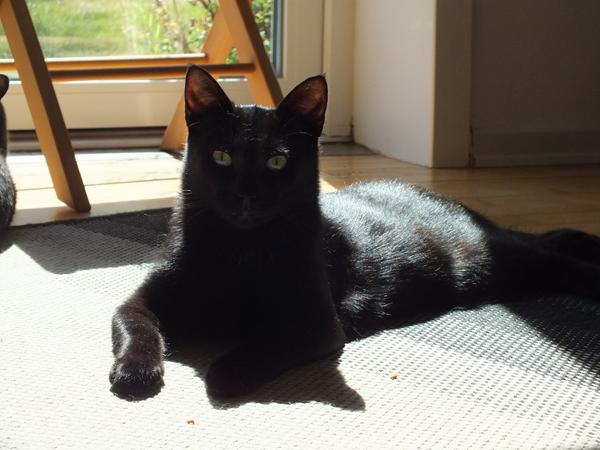 Urinprøve - hvor kort tid før aflevering?