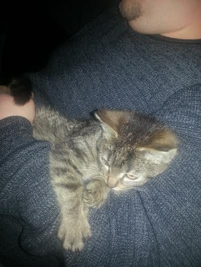 Killing bliver ved med at være killing