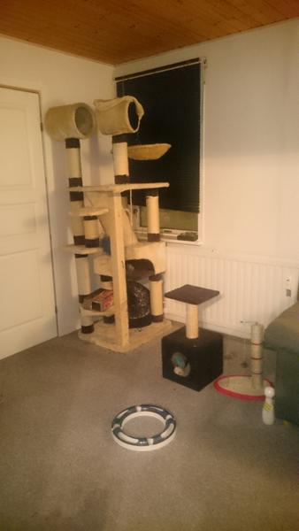 aktivering... ideer..??? :-) 