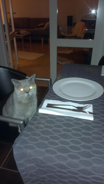 Konkurrence - Jo jeg tror bestemt det er min plads.