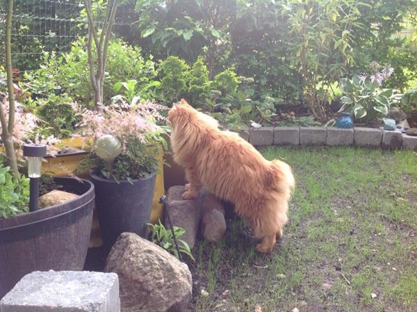 Så er det vente tid :(