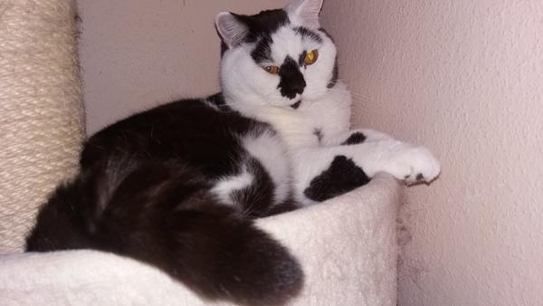 billede af min dejlige Dreng 