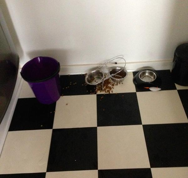 Nogle fra Næstved og omegn.??