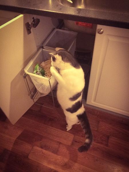 Nogle der  kigger :-) 