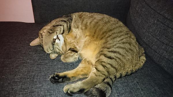 Er stolt af min lille skat