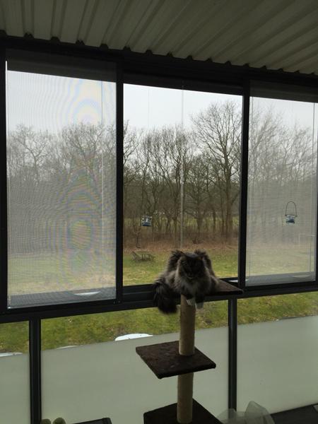 Weekendens projekt done :)