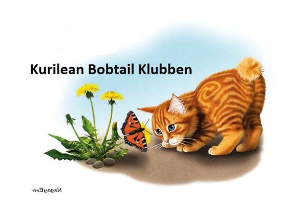Kurilean Bobtail Klubben