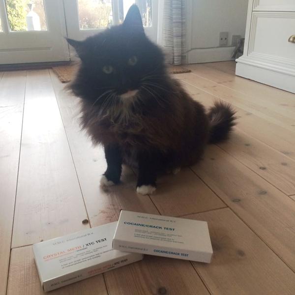 Politikat 