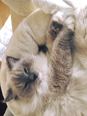 Rang i hierarkiet - kan der ske ændringer...?