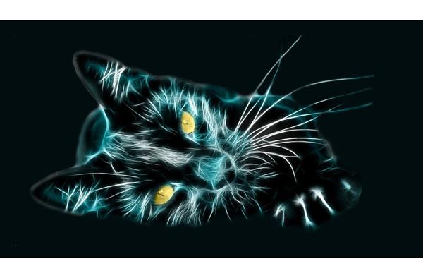 Ny mobil, hjælp til billed til cover :D