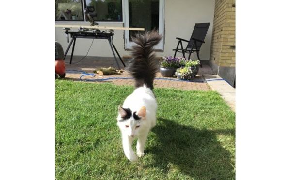 Fremlysning 4000 Roskilde