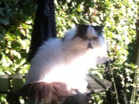 Syg eller ked af det?