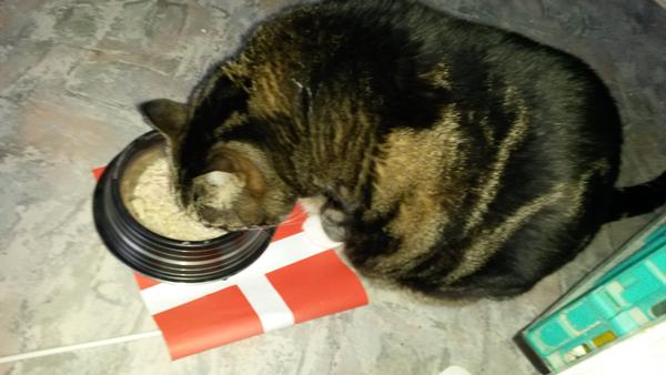 10 års fødselsdag