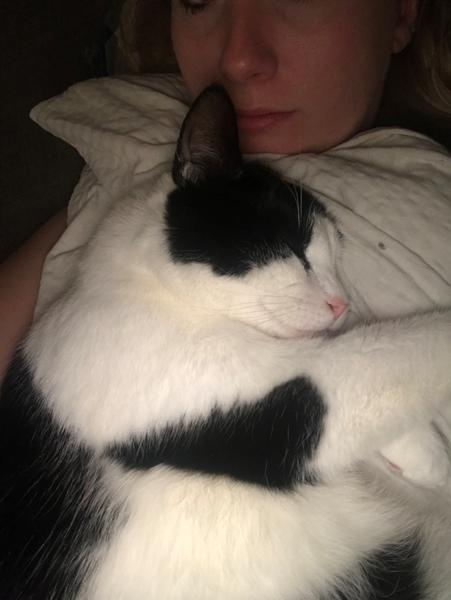 Ængstelig kat