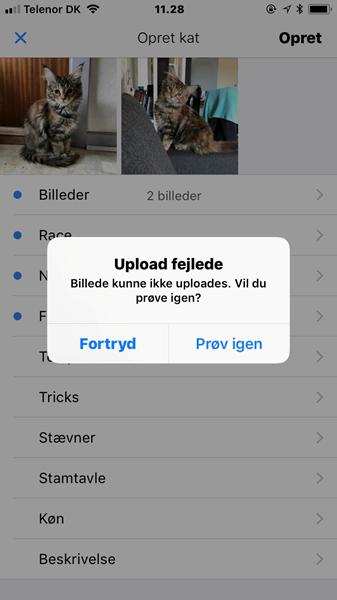 Problemer med oprettelse af kat gennem app?