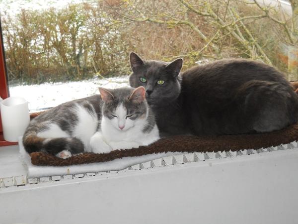 var på besøg hos Kidas familie i dag