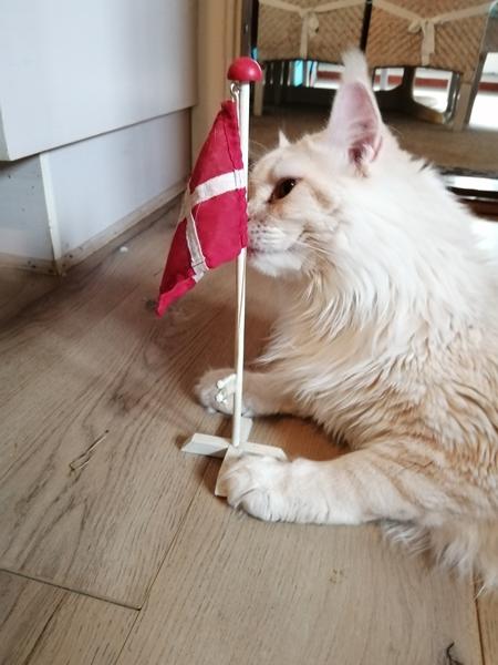 Pippi 1 års fødselsdag 