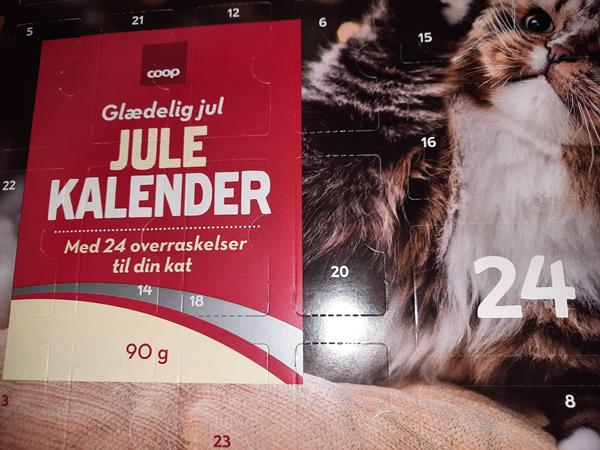 Julekalender 