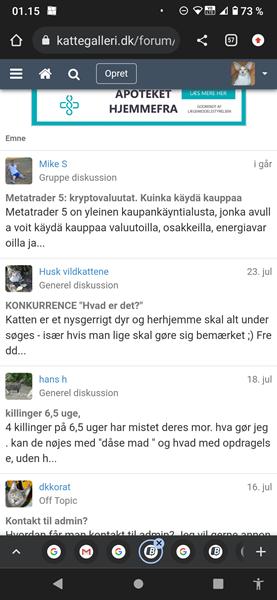 Gruppediskussion?