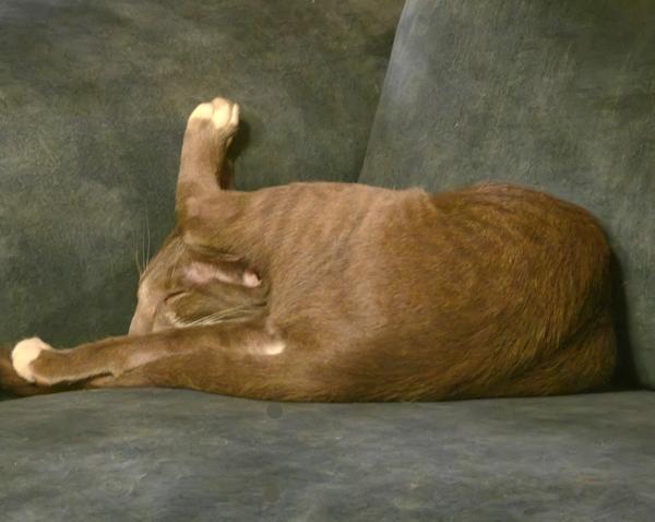 Årets første billedtråd.