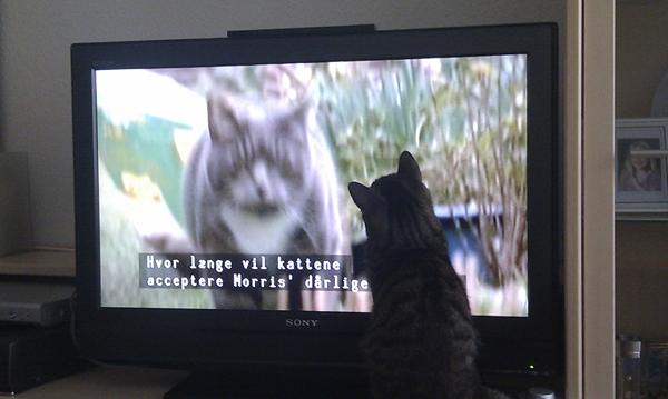 profilbillede