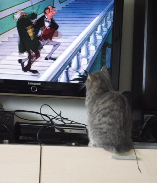 profilbillede