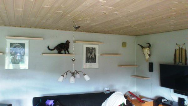 Vil disse hylder kunne bære kattene?? skrevet af liv b Luksus køkken