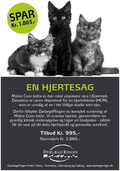 profilbillede