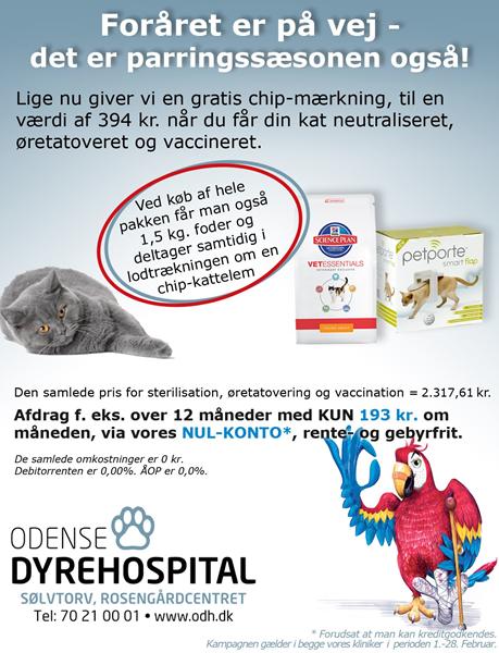 profilbillede