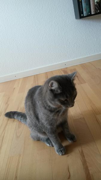profilbillede