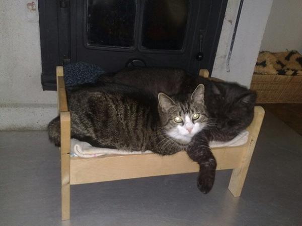 Katteseng ikea hack skrevet af theresa n Ikea senge