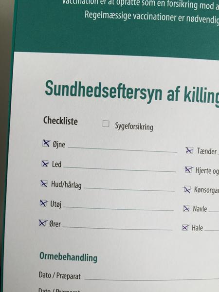 profilbillede