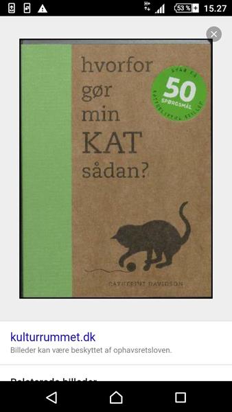 profilbillede