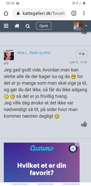 profilbillede