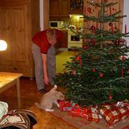 Blanding af racer Speedy