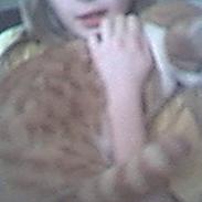 Blanding af racer Tornado