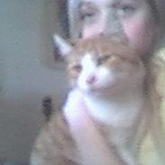 Blanding af racer Tornado