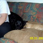 Blanding af racer Knud